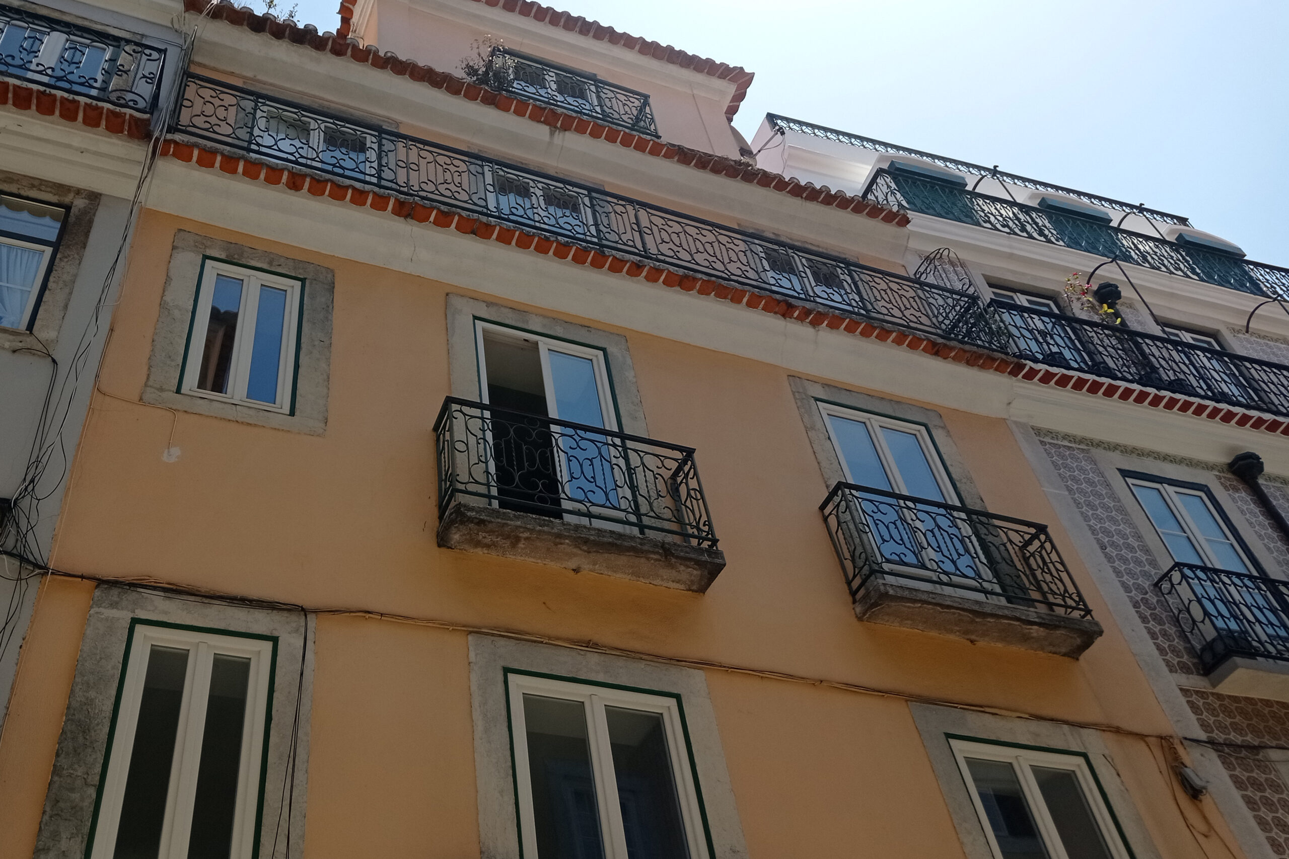 ficheiro_rosa3